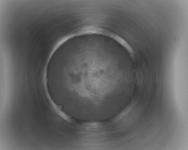 X0000113881431200910011123
