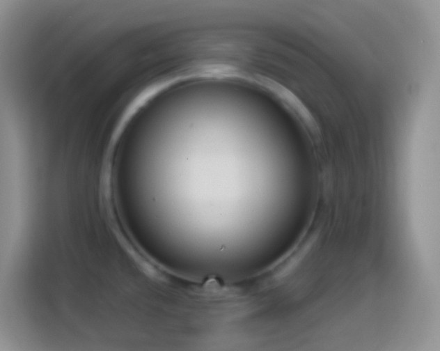 X0000113881432200910011123