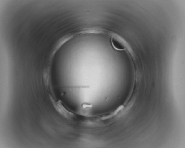 X0000113881433200910011123