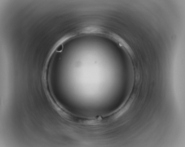 X0000113881434200910011123
