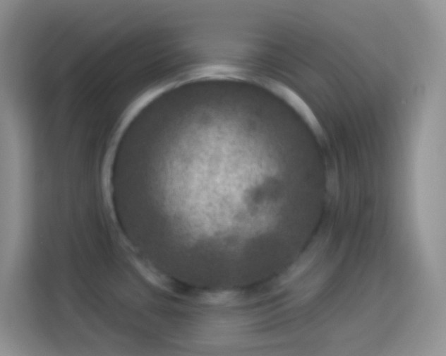 X0000113881435200910011123