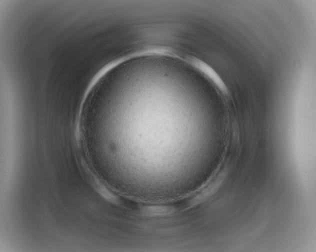 X0000113881436200910011123