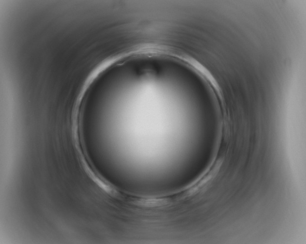 X0000113881437200910011123