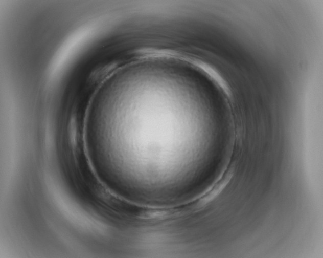 X0000113881438200910011123