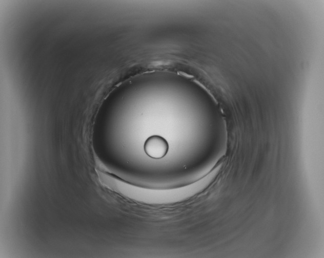 X0000113881441200910011123