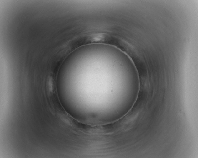 X0000113881442200910011123