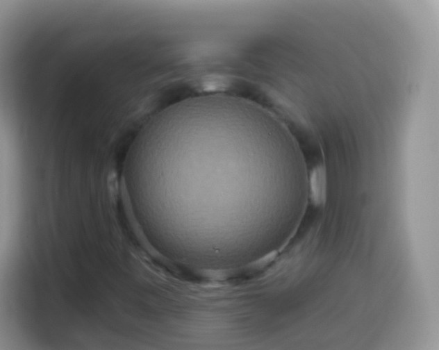 X0000113881443200910011123