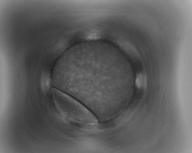 X0000113881444200910011123