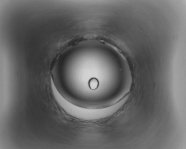 X0000113881445200910011123