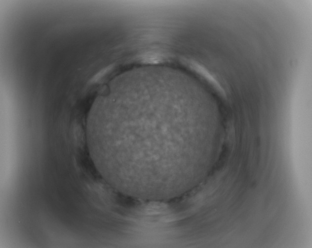 X0000113881446200910011123