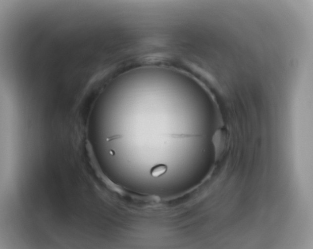 X0000113881447200910011123