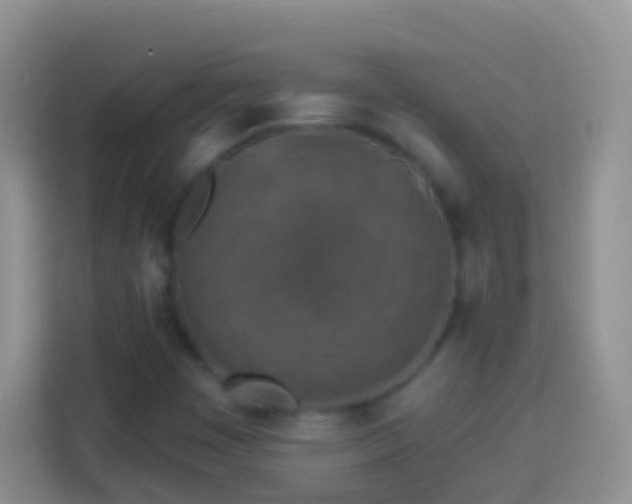 X0000113881449200910011123