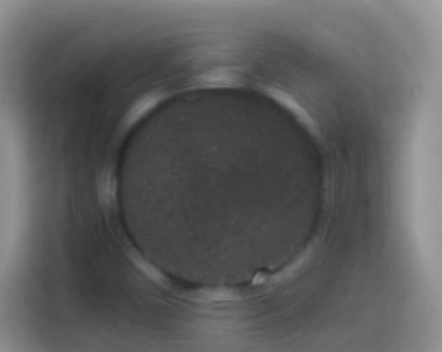 X0000113881450200910011123