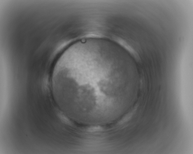 X0000113881454200910011123