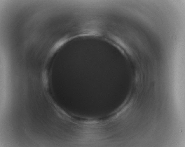 X0000113881455200910011123