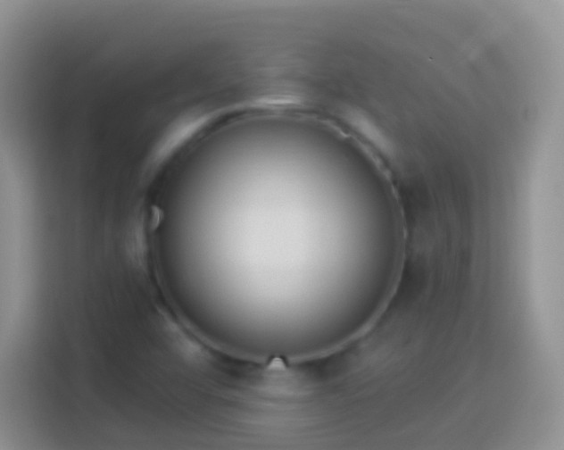 X0000113881456200910011123