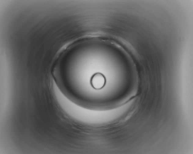 X0000113881457200910011123
