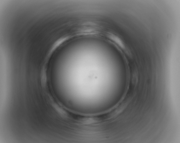 X0000113881458200910011123
