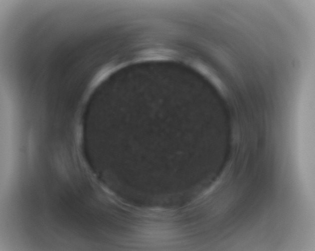 X0000113881459200910011123