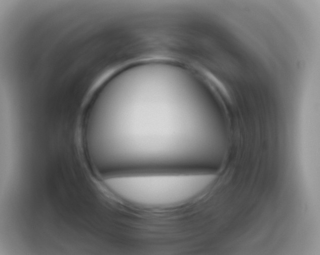 X0000113881460200910011122