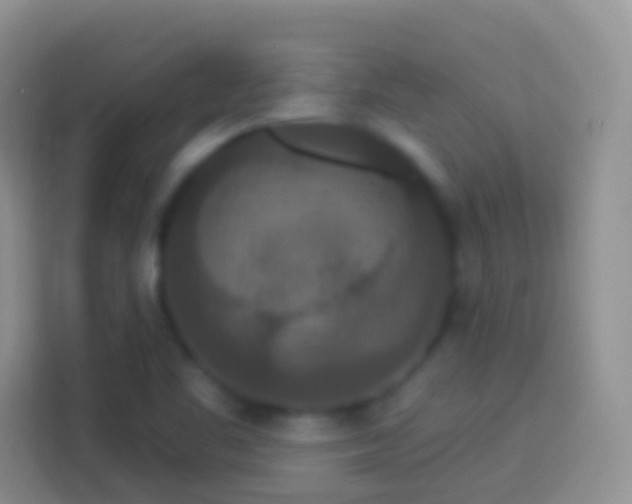 X0000113881461200910011122