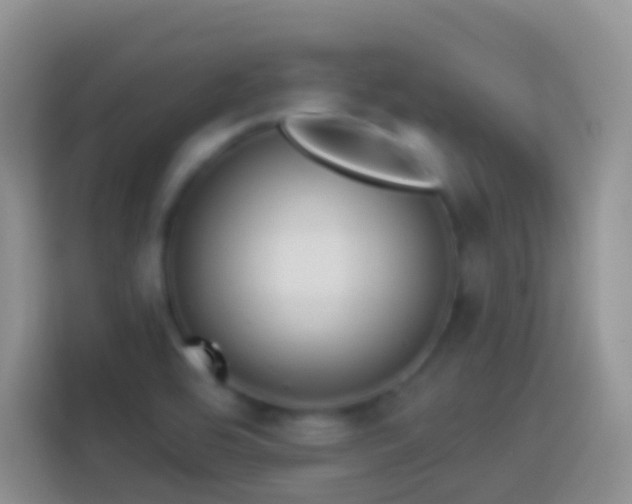 X0000113881464200910011122