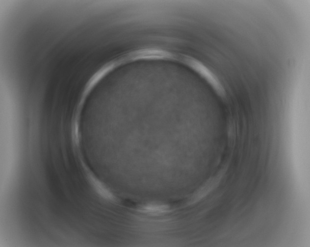 X0000113881466200910011122