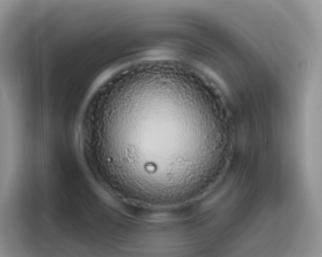 X0000113881467200910011122