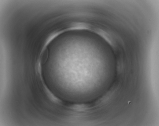X0000113881468200910011122