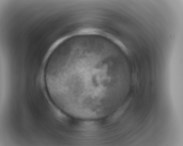 X0000113881470200910011122