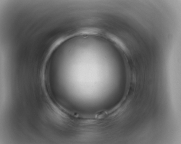 X0000113881471200910011122