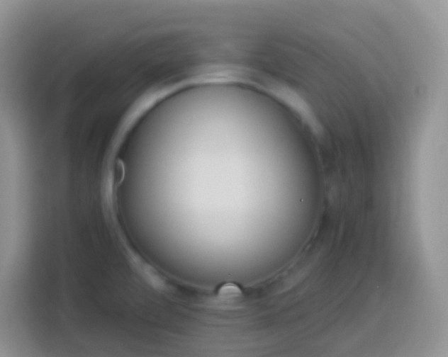 X0000113881472200910011122