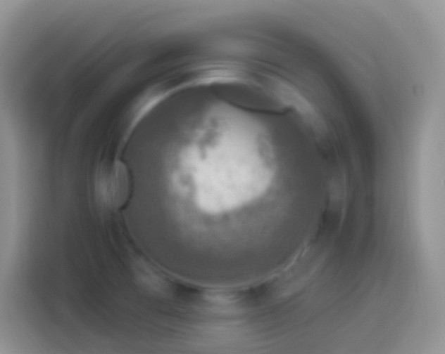 X0000113881473200910011122