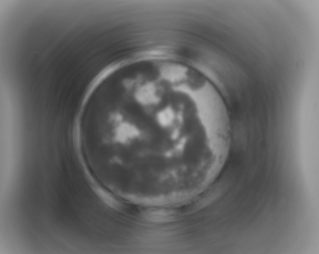 X0000113881474200910011122