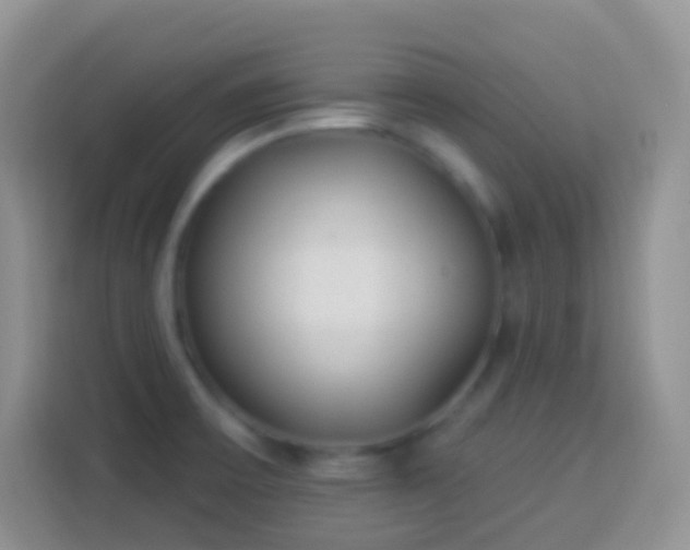 X0000113881475200910011122