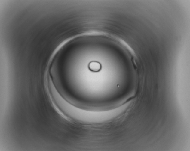 X0000113881476200910011122