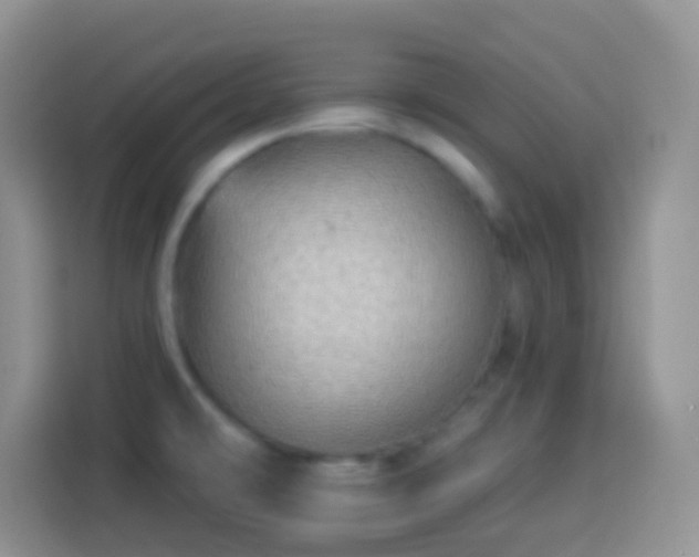 X0000113881478200910011122