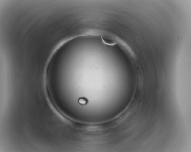 X0000113881479200910011122