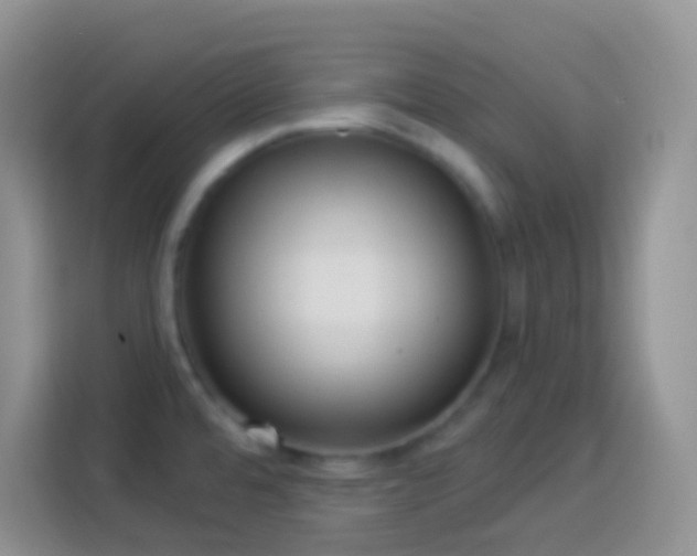 X0000113881480200910011122