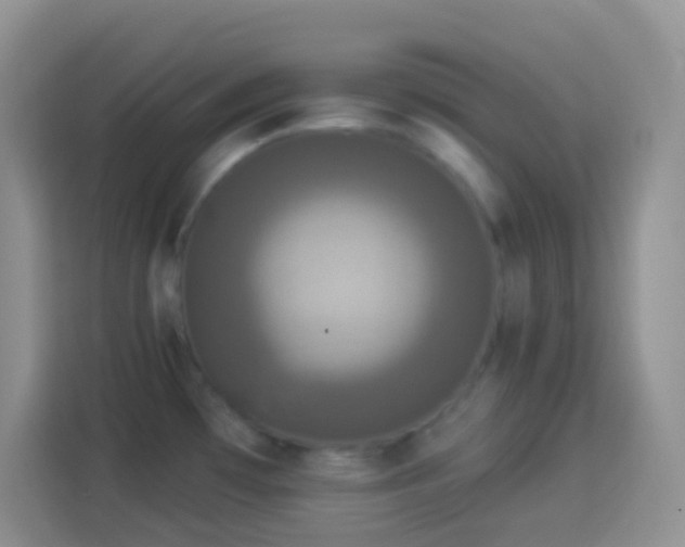 X0000113881481200910011122