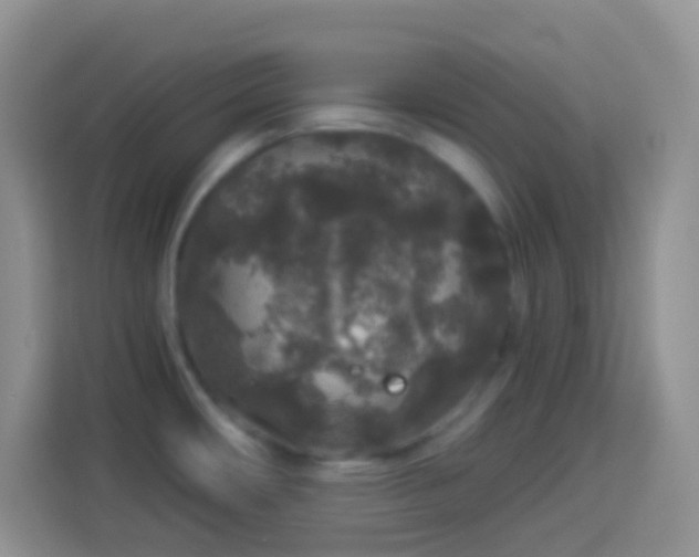 X0000113881482200910011122