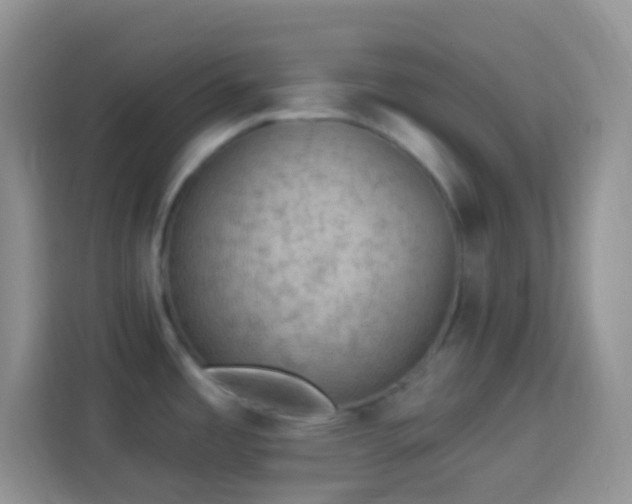 X0000113881485200910011122