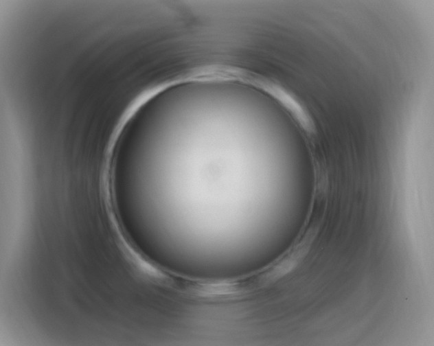 X0000113881486200910011122