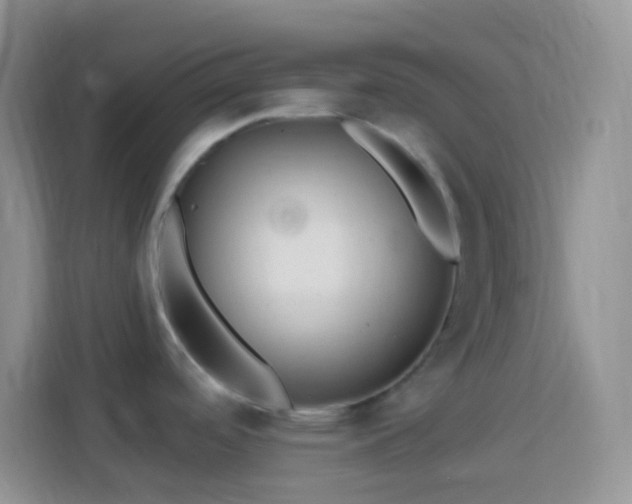 X0000113881488200910011122