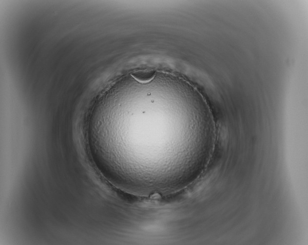X0000113881489200910011122