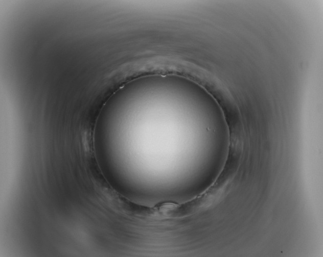 X0000113881490200910011122