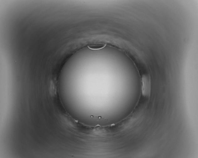 X0000113881491200910011122