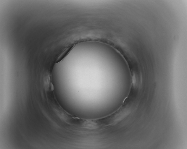 X0000113881492200910011122