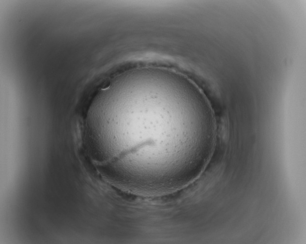 X0000113881493200910011122