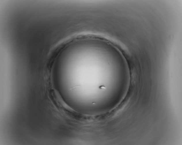 X0000113881494200910011122